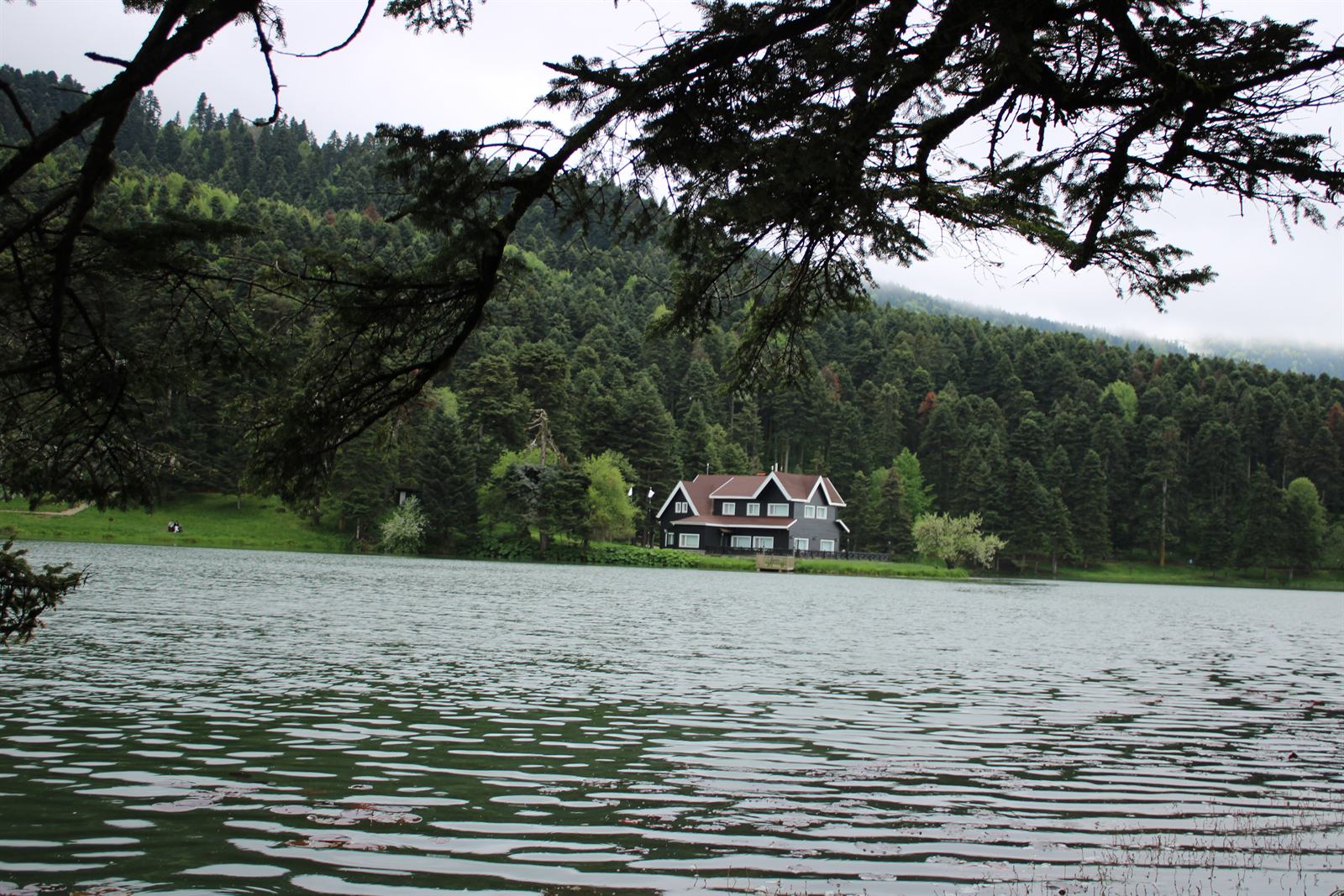 A lakeside house and forest at Gölcük in Bolu, framed by tree branches