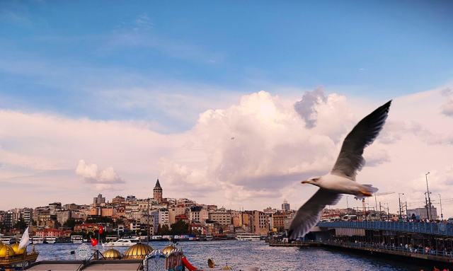 Kuşlar fotoğrafı