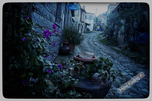 Çiçekler fotoğrafı