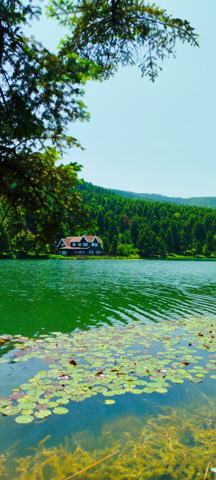 Bolu fotoğrafı
