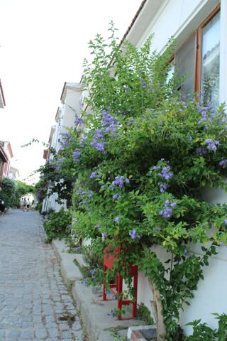 Bozcaada fotoğrafı